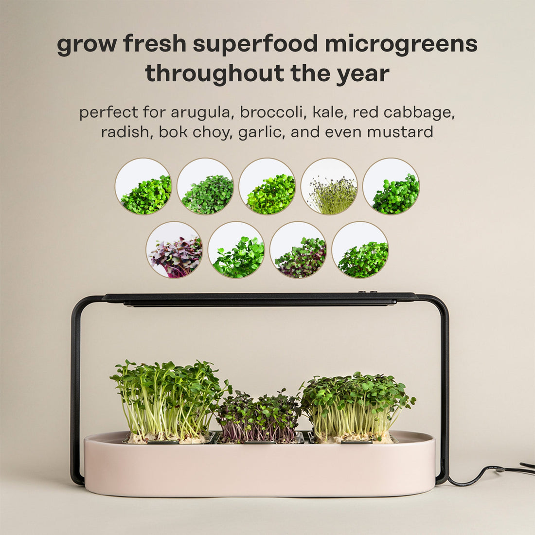 Harness the Power of Indoor Gardening with Ingarden