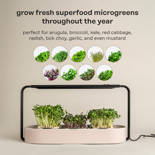 Harness the Power of Indoor Gardening with Ingarden