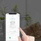 Instachew PETKIT Air Magicube Smart Odor Eliminator Axcestories