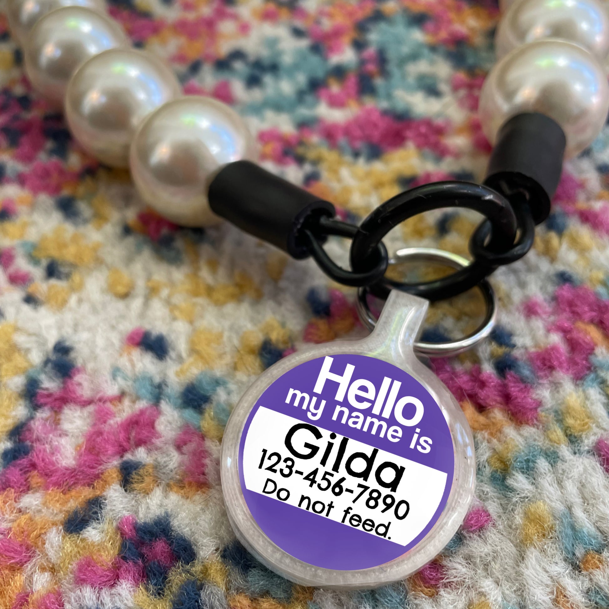 Hello Pet ID Tag Eco-Friendly Plastic Tag for Dogs and Cats Axcestories
