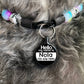 Hello Pet ID Tag Eco-Friendly Plastic Tag for Dogs and Cats Axcestories