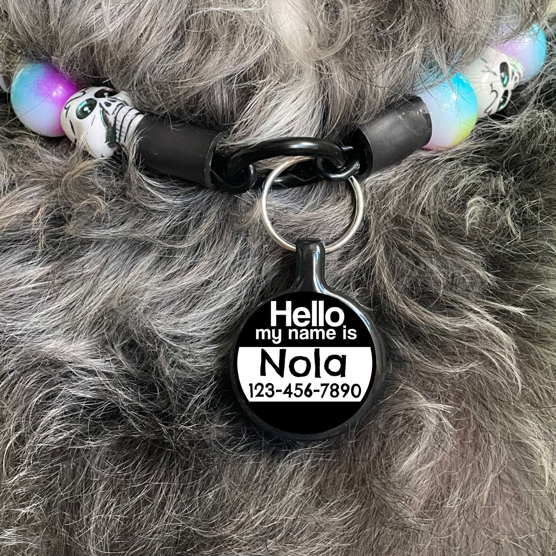 Hello Pet ID Tag Eco-Friendly Plastic Tag for Dogs and Cats Axcestories